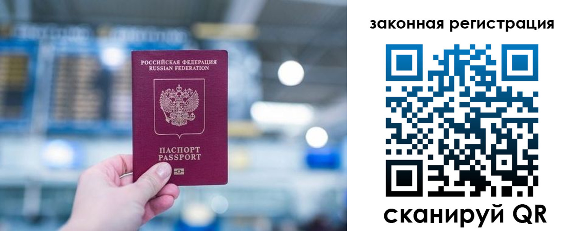 прописка поиск в Сосенском